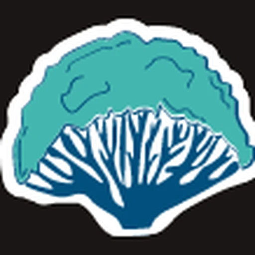 Socotra Biosphere Tours logo