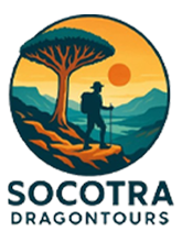 Socotra Dragon Tours logo