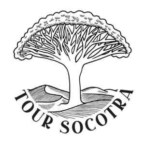 Tour Socotra logo