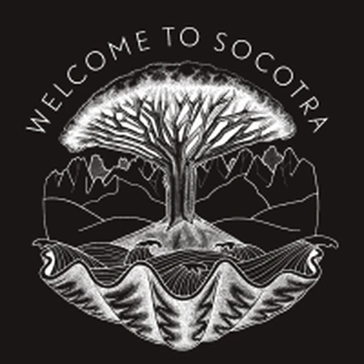 Welcome to Socotra logo