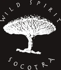 Wild Spirit Socotra logo