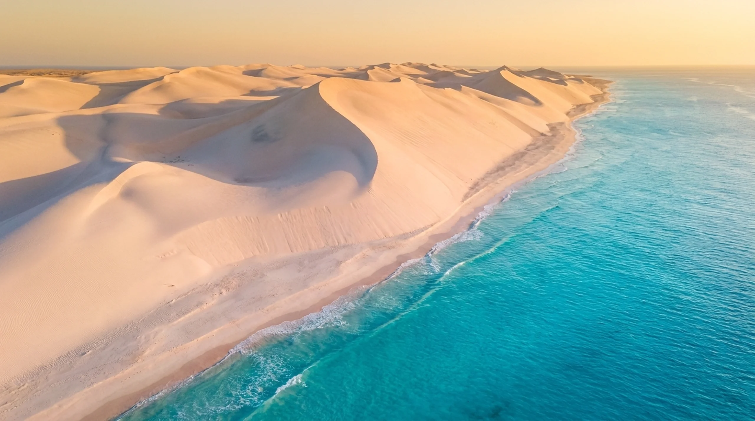 Coastal Dunes