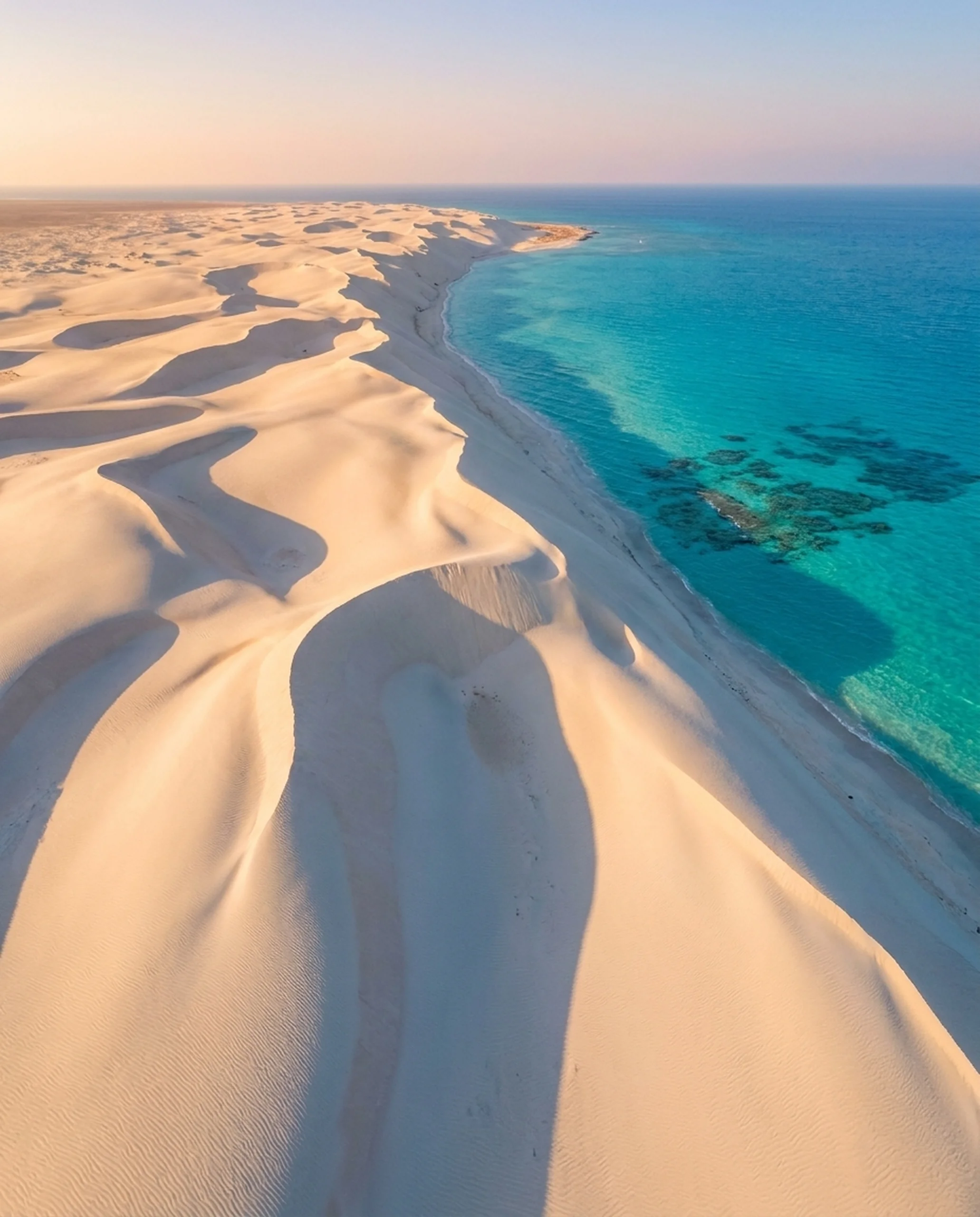 Coastal Dunes