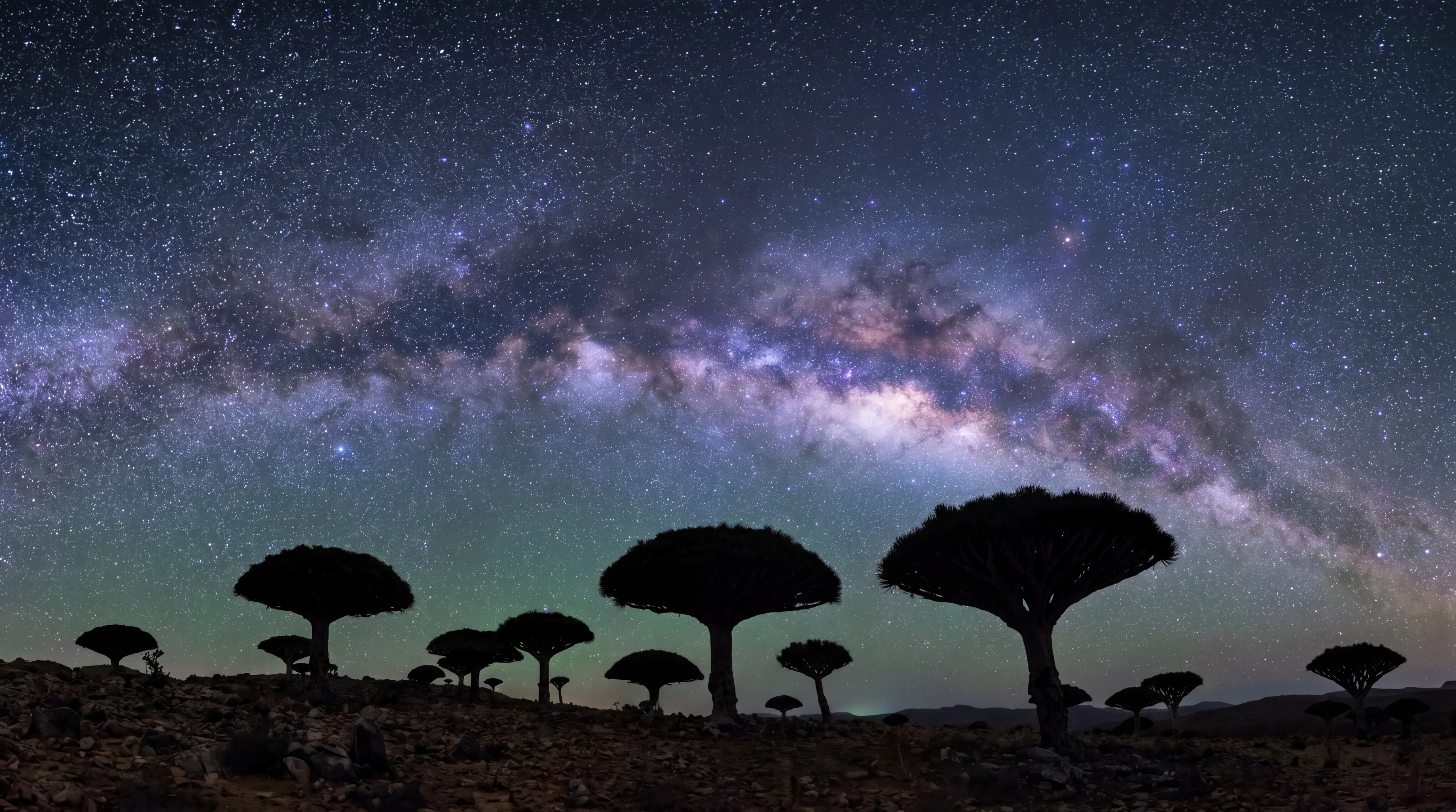 Milky Way over Dragon Blood Trees on Socotra